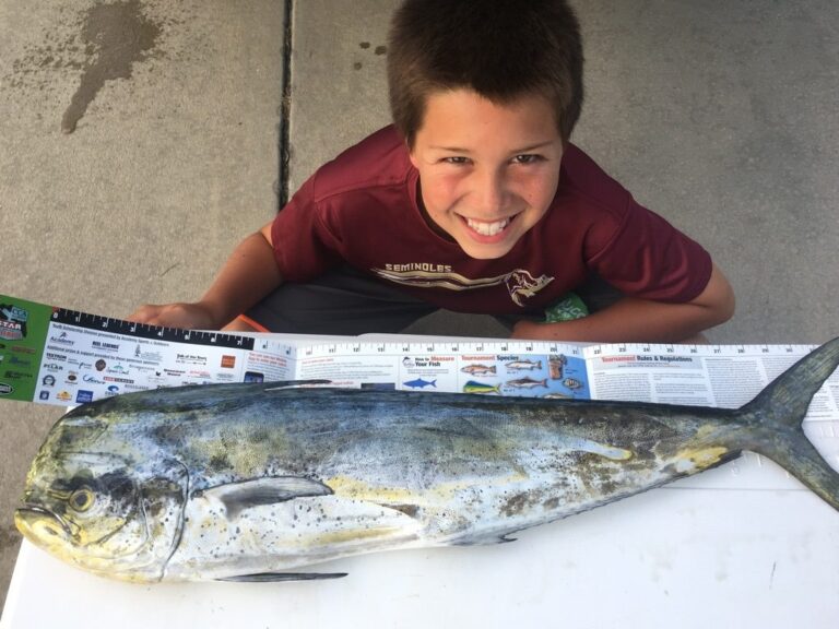 33619064_2126553270954869_1776489355133583360_n